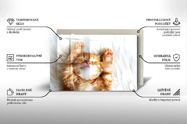 Skleněná deska do kuchyně Malé roztomilé kotě