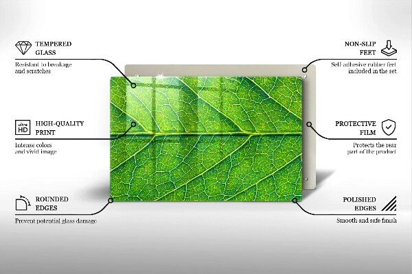 Skleněná deska do kuchyně Přírodní listové žíly