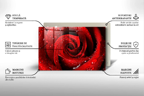 Skleněná deska do kuchyně Okvětní lístky růže