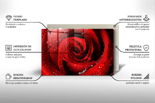 Skleněná deska do kuchyně Okvětní lístky růže