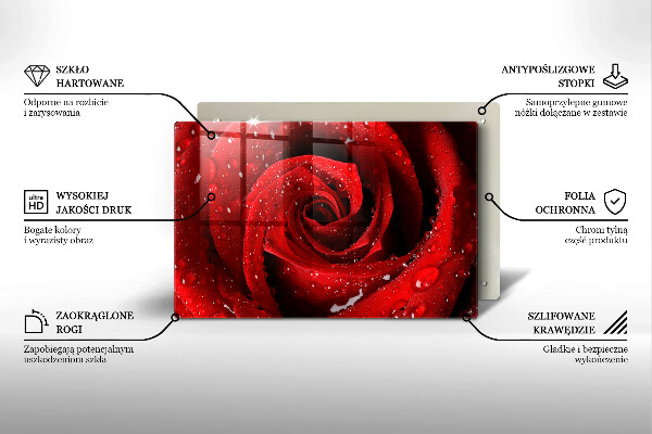 Skleněná deska do kuchyně Okvětní lístky růže