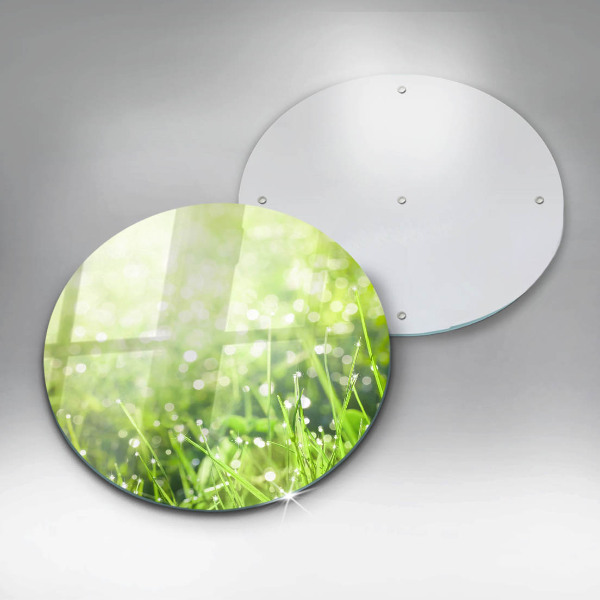 Skleněná deska do kuchyně Příroda - tráva a rosa