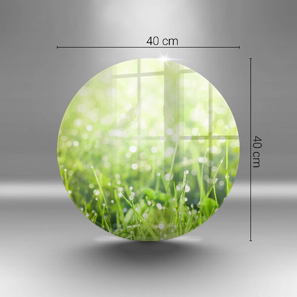 Skleněná deska do kuchyně Příroda - tráva a rosa