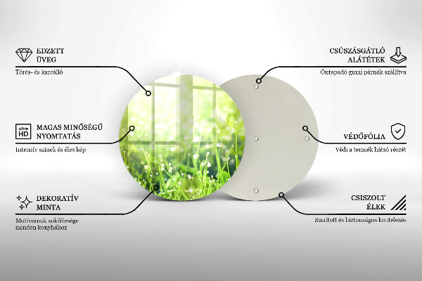 Skleněná deska do kuchyně Příroda - tráva a rosa