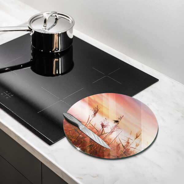 Skleněná deska do kuchyně Krajina travnatých polí