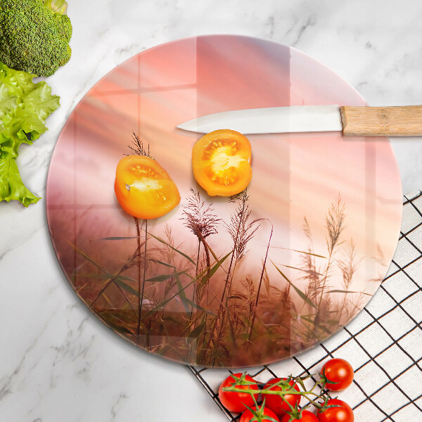 Skleněná deska do kuchyně Krajina travnatých polí