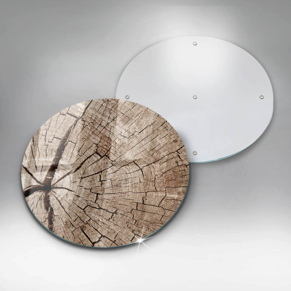 Skleněná deska do kuchyně Průřez stromem