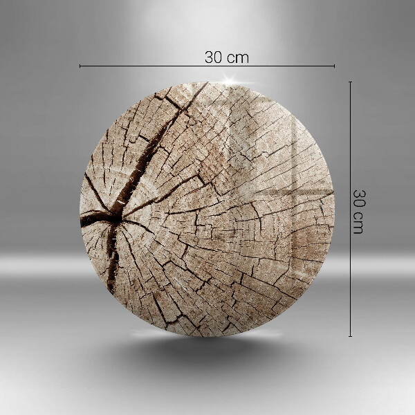 Skleněná deska do kuchyně Průřez stromem