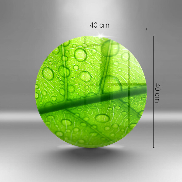 Skleněná krájecí deska Detailní záběr na list