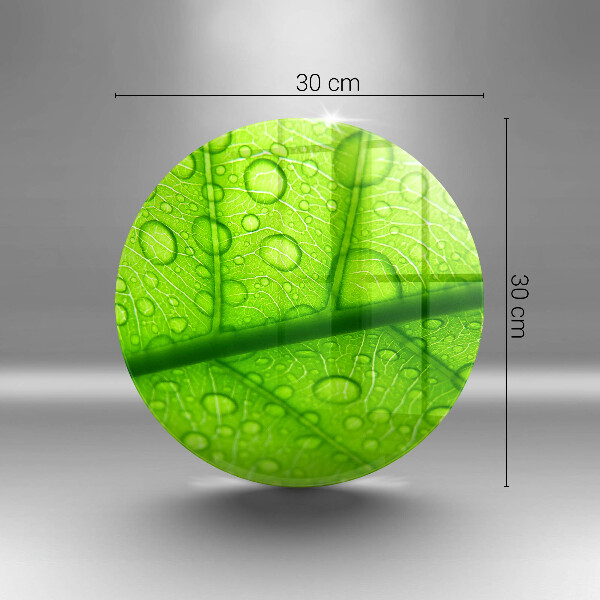 Skleněná krájecí deska Detailní záběr na list