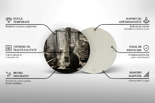 Skleněná deska do kuchyně Kočičí město a okno