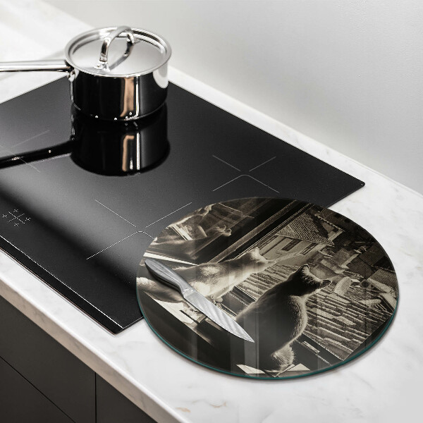 Skleněná deska do kuchyně Kočičí město a okno