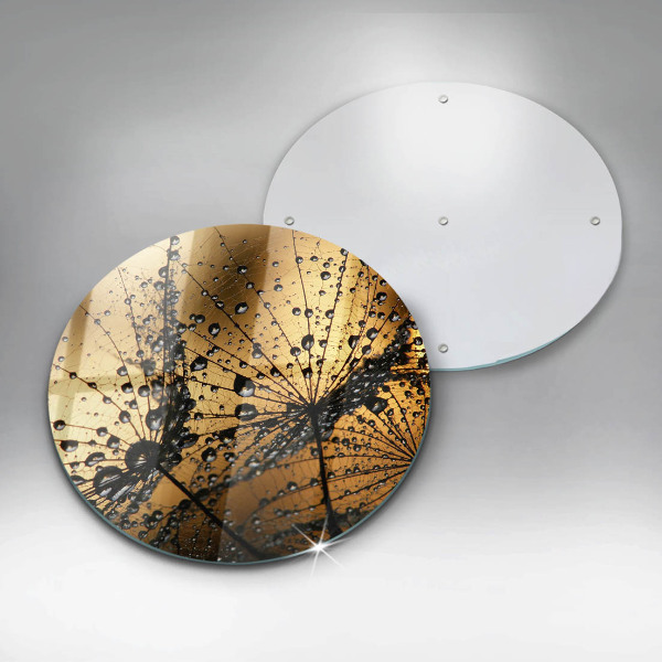 Skleněná deska do kuchyně Rosa a pampelišky