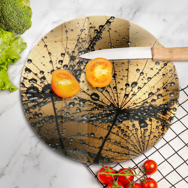 Skleněná deska do kuchyně Rosa a pampelišky