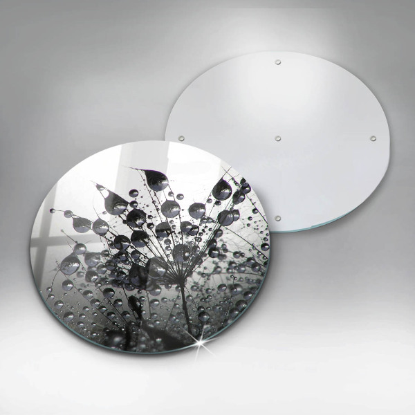 Skleněná deska do kuchyně Pampelišky a rosa