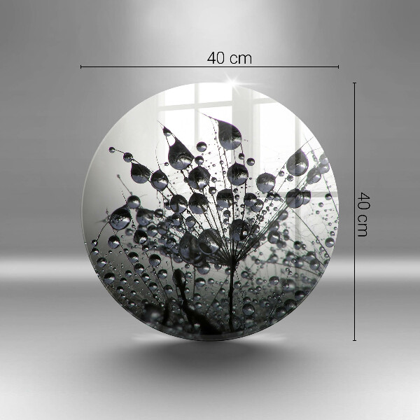 Skleněná deska do kuchyně Pampelišky a rosa