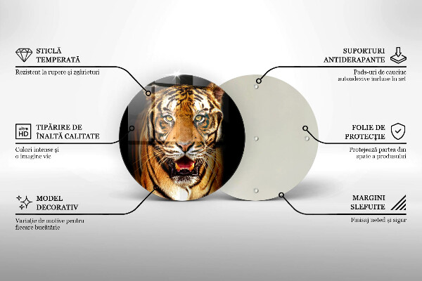 Skleněná deska do kuchyně Divoké zvíře tygr