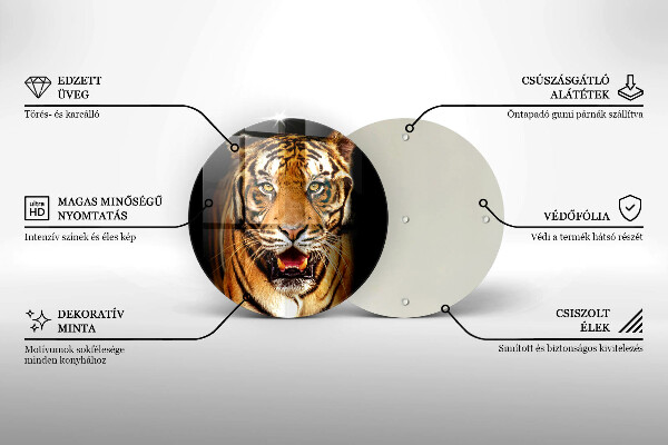 Skleněná deska do kuchyně Divoké zvíře tygr