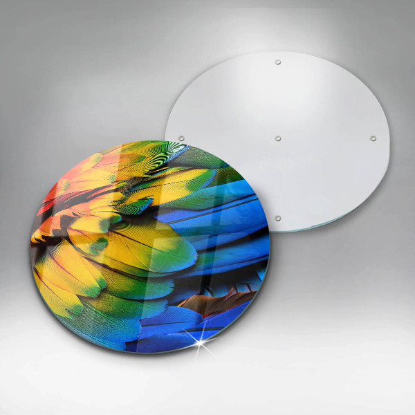 Skleněná deska do kuchyně Barevné papouščí peří