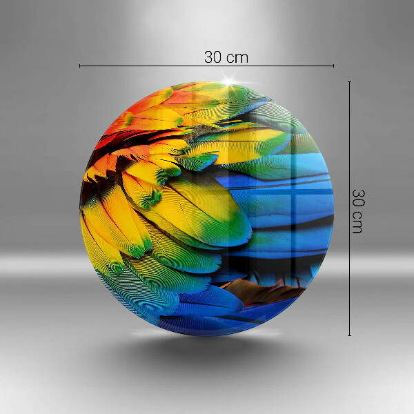 Skleněná deska do kuchyně Barevné papouščí peří