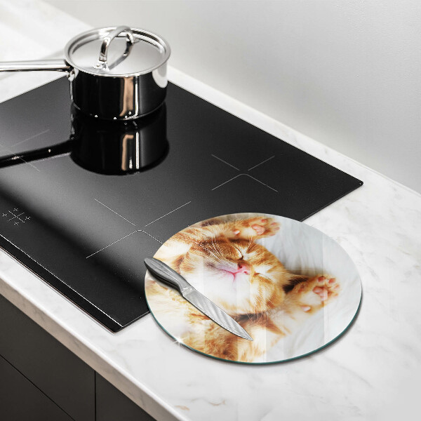 Skleněná deska do kuchyně Malé roztomilé kotě