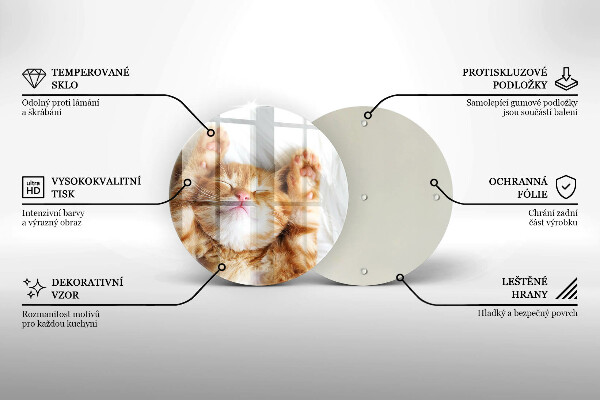 Skleněná deska do kuchyně Malé roztomilé kotě