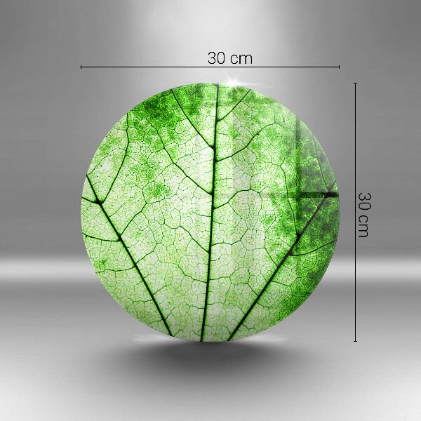Skleněná deska do kuchyně Dekorativní žilnatý list