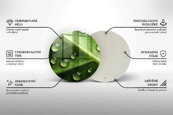 Skleněná deska do kuchyně Příroda rosa a list