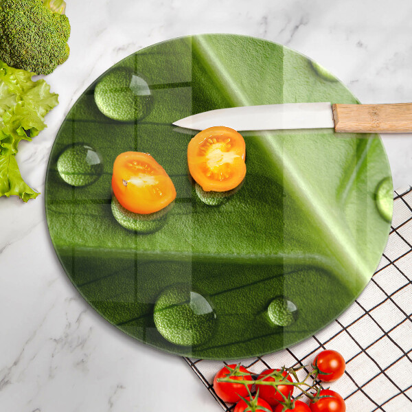 Skleněná deska do kuchyně Příroda rosa a list