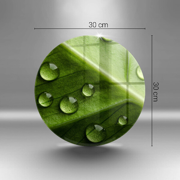 Skleněná deska do kuchyně Příroda rosa a list