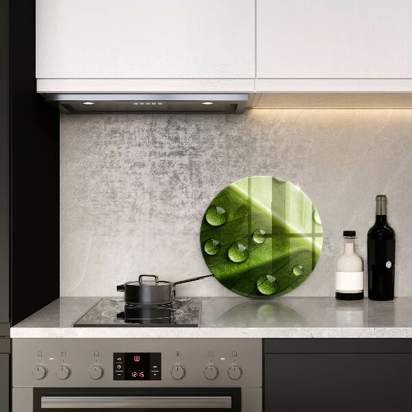 Skleněná deska do kuchyně Příroda rosa a list