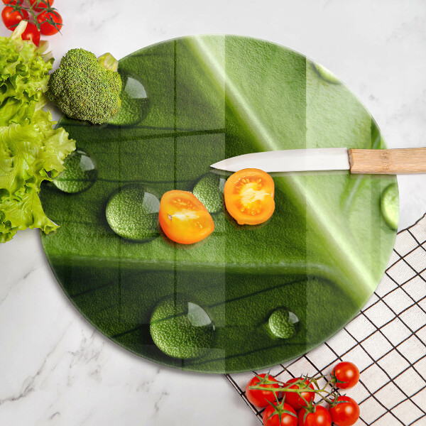 Skleněná deska do kuchyně Příroda rosa a list