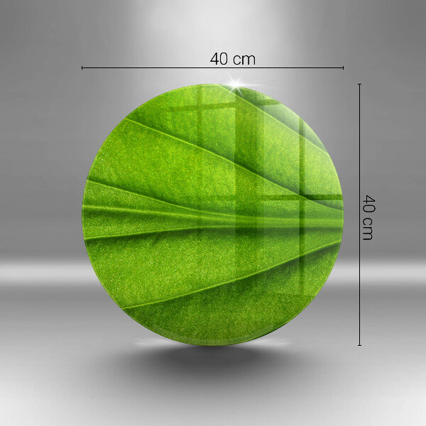 Skleněná deska do kuchyně Přírodní žilní list