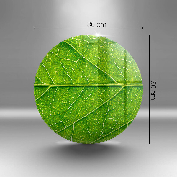 Skleněná deska do kuchyně Přírodní listové žíly