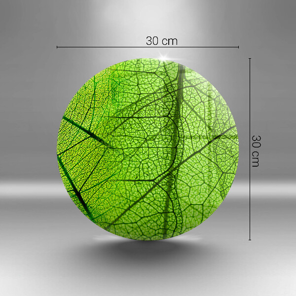 Skleněná deska do kuchyně Přírodní listové žíly