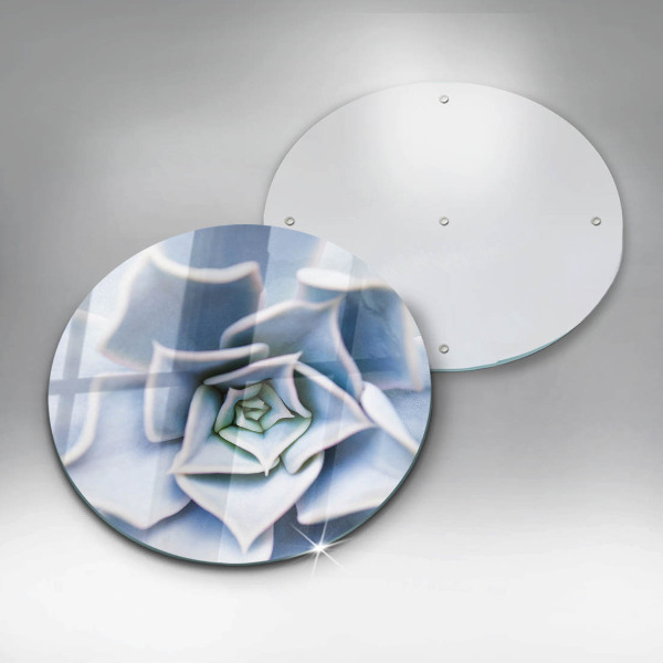 Skleněná deska do kuchyně Květinová rostlina