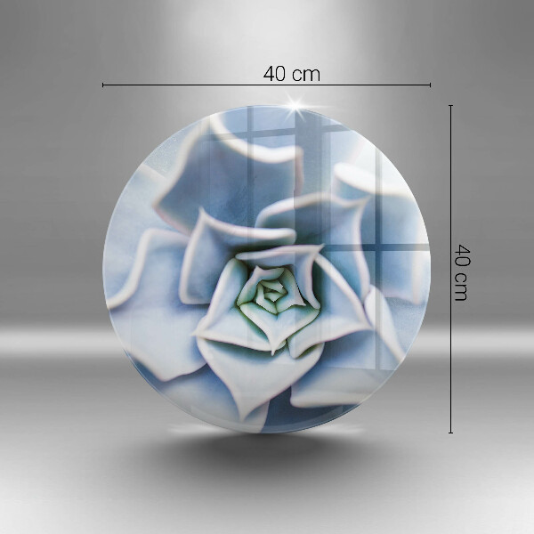 Skleněná deska do kuchyně Květinová rostlina