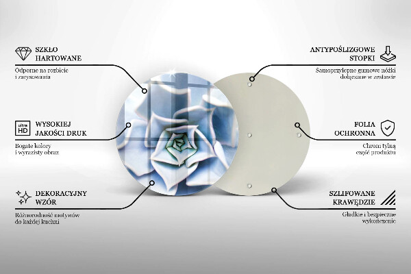 Skleněná deska do kuchyně Květinová rostlina