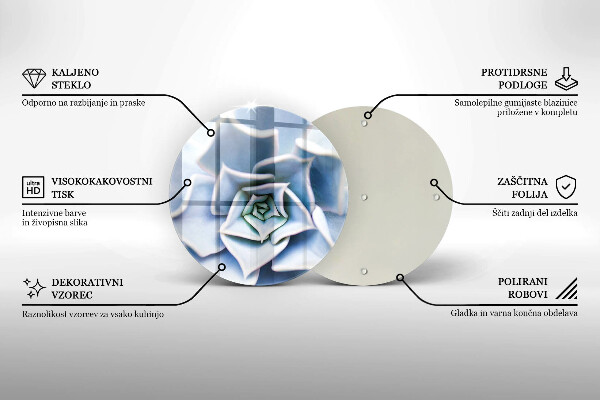 Skleněná deska do kuchyně Květinová rostlina