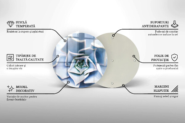 Skleněná deska do kuchyně Květinová rostlina