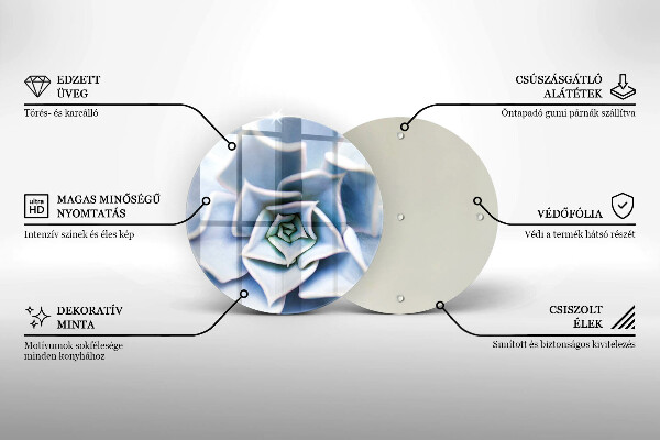Skleněná deska do kuchyně Květinová rostlina