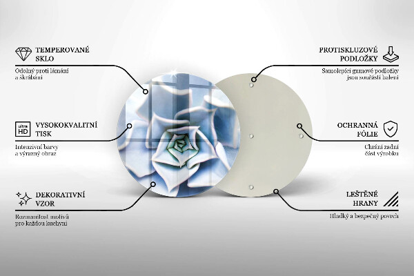 Skleněná deska do kuchyně Květinová rostlina