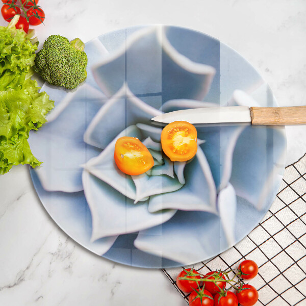 Skleněná deska do kuchyně Květinová rostlina