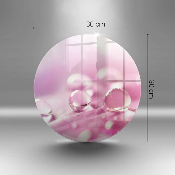 Skleněná deska do kuchyně Okvětní lístky rosy