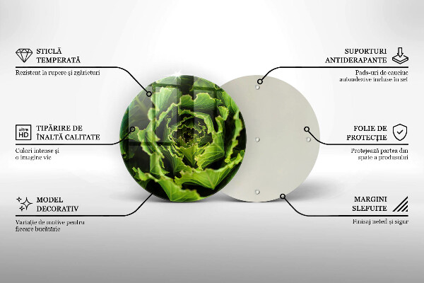 Skleněná deska do kuchyně Jíst listy salátu