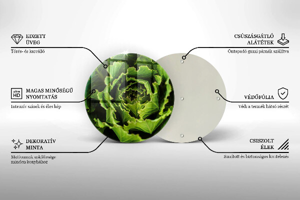 Skleněná deska do kuchyně Jíst listy salátu