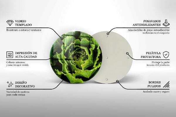 Skleněná deska do kuchyně Jíst listy salátu