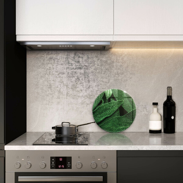 Skleněná deska do kuchyně Listy rostliny