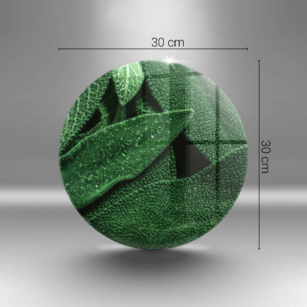 Skleněná deska do kuchyně Listy rostliny