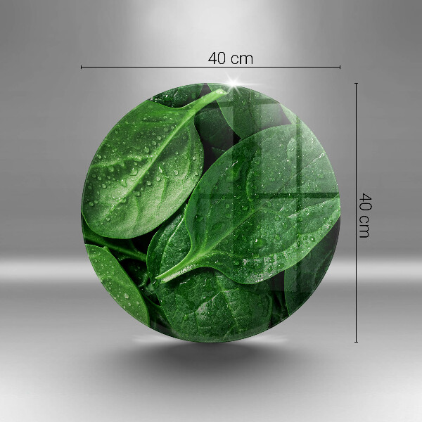 Skleněná deska do kuchyně Listy bazalky